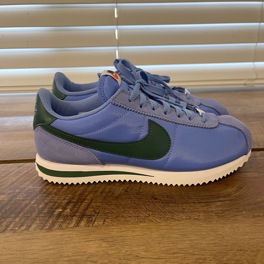 Nike Blue and Green Athletic Shoes